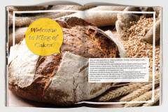 Franchise-Brochure1